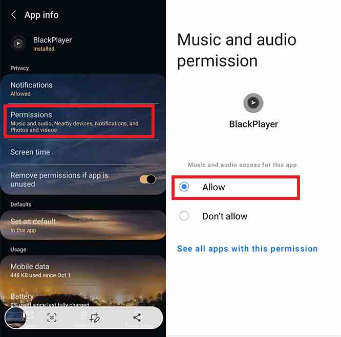 Reset Folder Permissions to Fix BlackPlayer Cover Art Issue Fix BlackPlayer Album Art Missing – 3 Proven Solutions (2026)