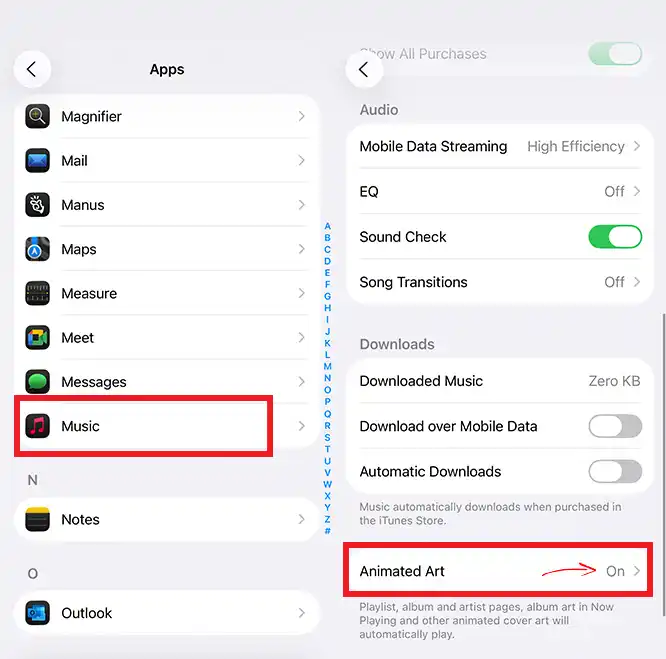 Settings → Music → Display options → make sure Animated Art or similar is enabled. Fix Album Artwork Not Showing